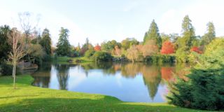 Sheffield Park - Autumn Colours